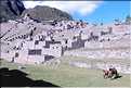 101 Site Inca du Machu Picchu (1)