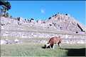 101 Site Inca du Machu Picchu (2)
