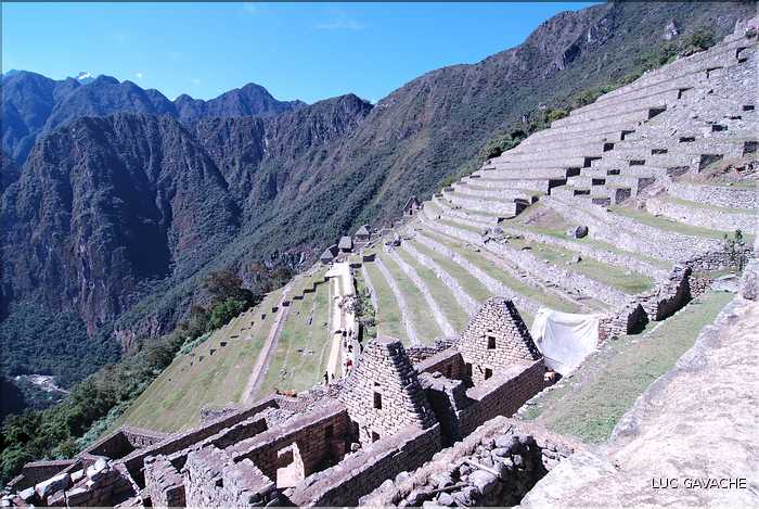 111 Cultures en terrasses du Machu Picchu (1)