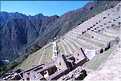 111 Cultures en terrasses du Machu Picchu (1)