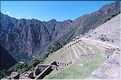 111 Cultures en terrasses du Machu Picchu (2)