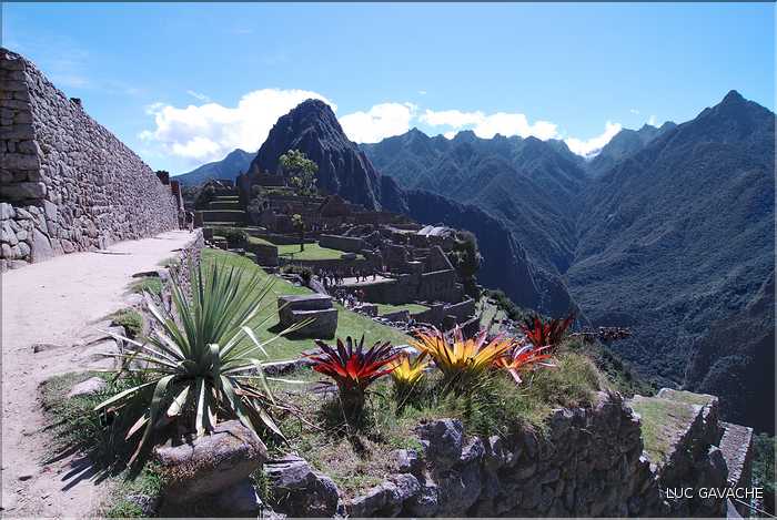 114 Vue d'ensemble du site du Machu Picchu (1)