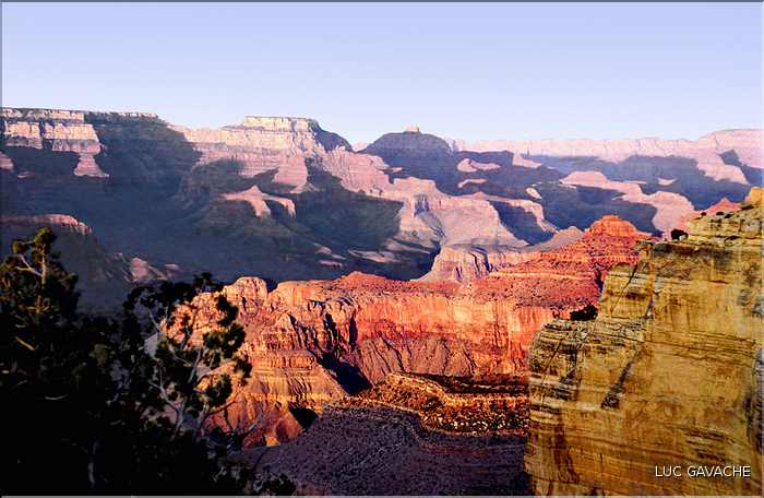 Le Grand canyon dans l'état de l'Arizona (14)