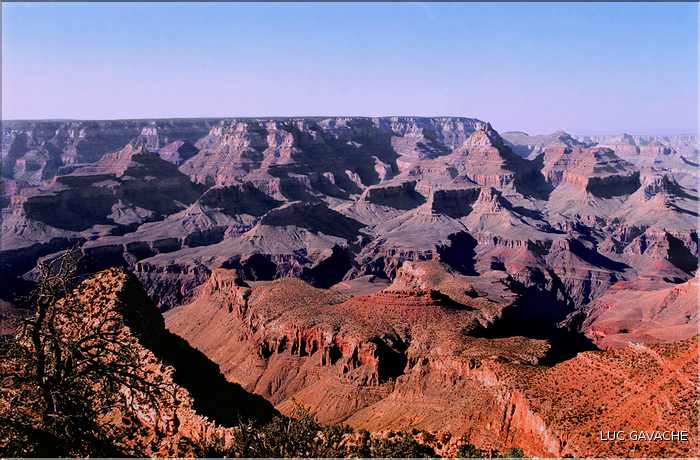 Le Grand canyon dans l'état de l'Arizona (21)