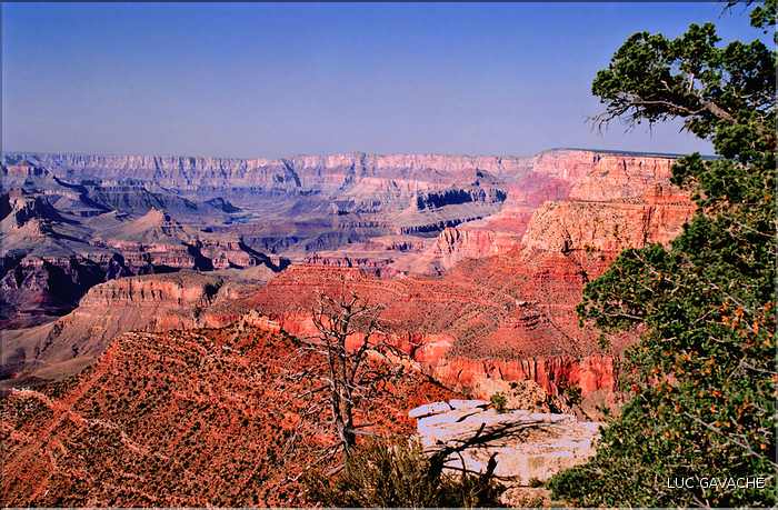 Le Grand canyon dans l'état de l'Arizona (22)