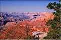 Le Grand canyon dans l'état de l'Arizona (22)