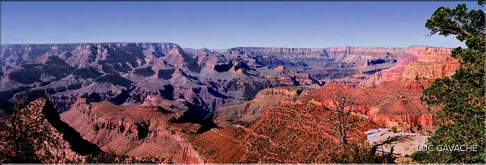 Le Grand canyon dans l'état de l'Arizona (23)