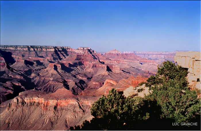 Le Grand canyon dans l'état de l'Arizona (24)
