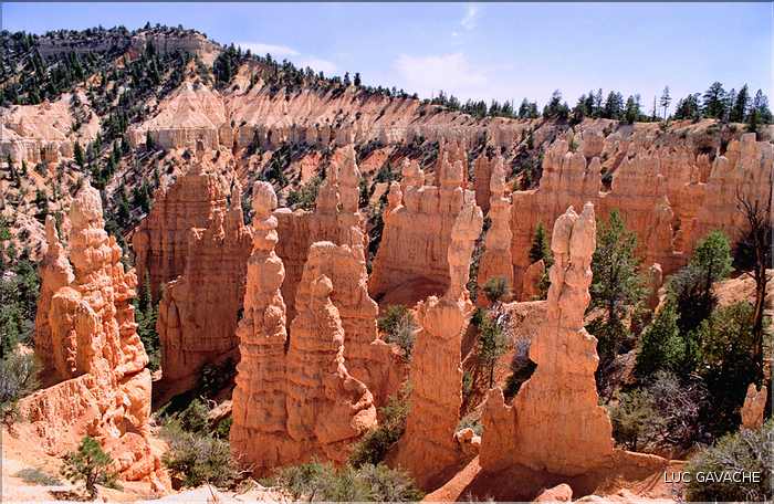 Bryce canyon possède des paysages absolument grandioses, Utah (2)