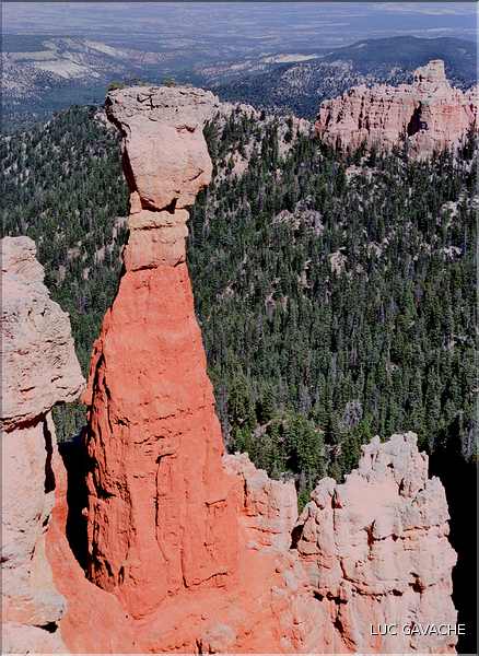 Bryce canyon possède des paysages absolument grandioses, Utah (8)
