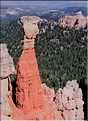 Bryce canyon possède des paysages absolument grandioses, Utah (8)