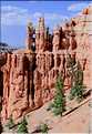 Bryce canyon possède des paysages absolument grandioses, Utah (21)