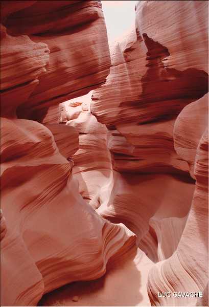Sculpté par l'eau, Antilope valley se trouve à proximité du lake Powell, Arizona (1)