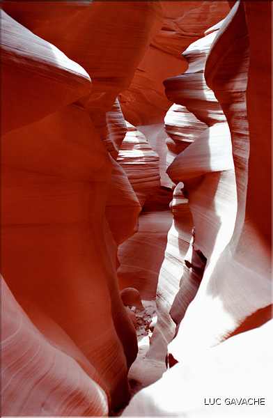 Sculpté par l'eau, Antilope valley se trouve à proximité du lake Powell, Arizona (3)