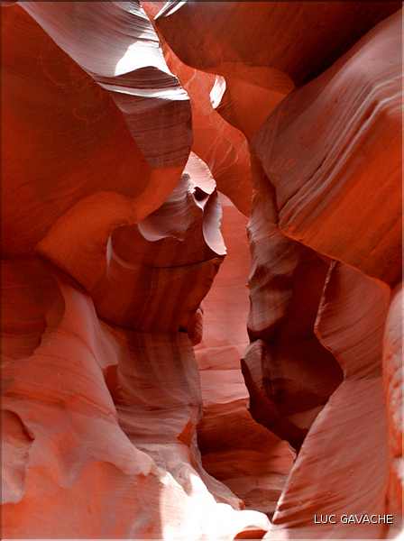 Sculpté par l'eau, Antilope valley se trouve à proximité du lake Powell, Arizona (15)
