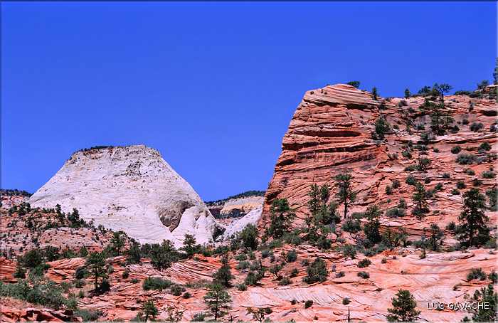 Le parc Zion se situe dans l'Ouest de l'Utah (2)