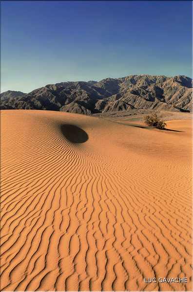 Parfois situé sous le niveau de la mer, Death Valley se trouve dans l'état de Californie (4)