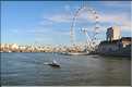 London Eye (2)