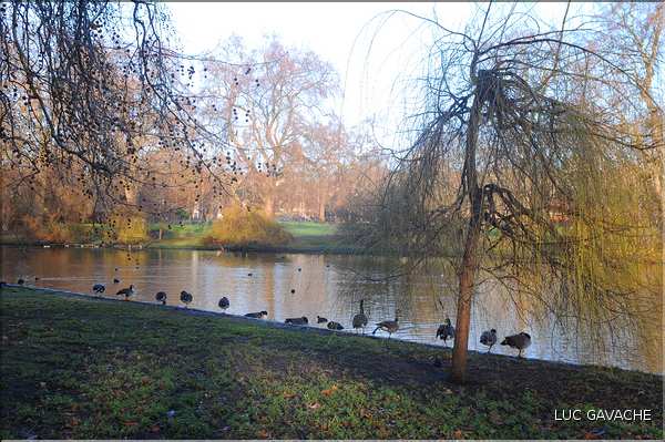 St. James's Park (2)