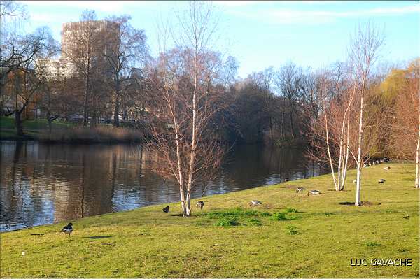 St. James's Park (7)