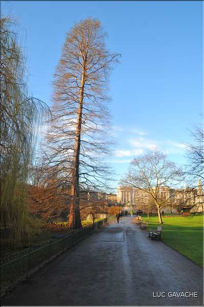 St. James's Park (12)