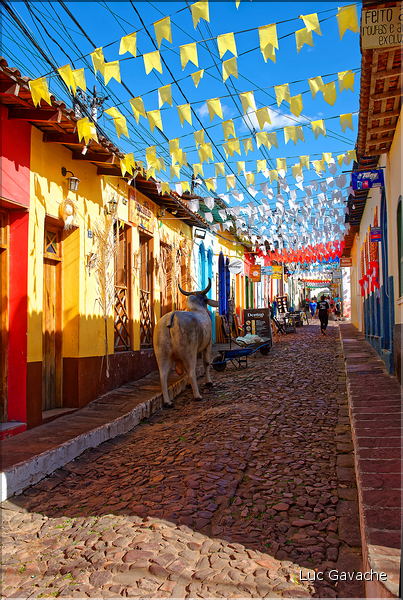 Lençois est la capitale de la région de la Chapada Diamantina. (63)