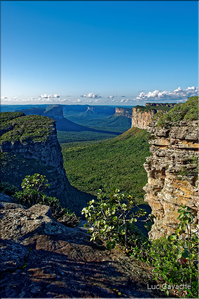 Le Pal Inàcio offre la vu la plus spéctaculaire de la Chapada. (10)