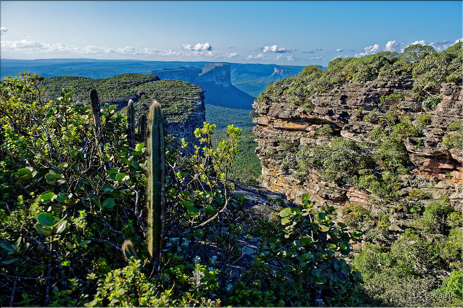 Le Pal Inàcio offre la vu la plus spéctaculaire de la Chapada. (13)