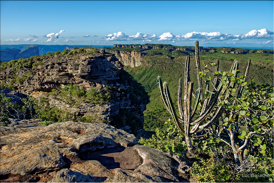 Le Pal Inàcio offre la vu la plus spéctaculaire de la Chapada. (20)