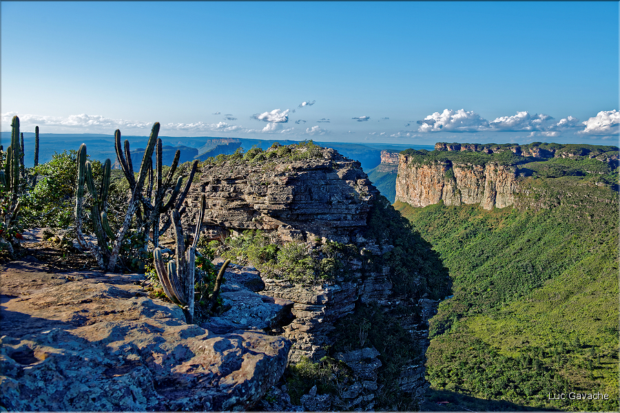 Le Pal Inàcio offre la vu la plus spéctaculaire de la Chapada. (21)