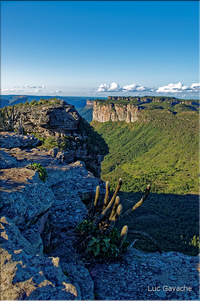 Le Pal Inàcio offre la vu la plus spéctaculaire de la Chapada. (25)