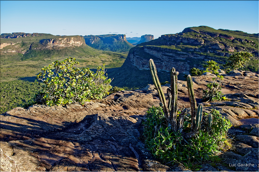 Le Pal Inàcio offre la vu la plus spéctaculaire de la Chapada. (29)