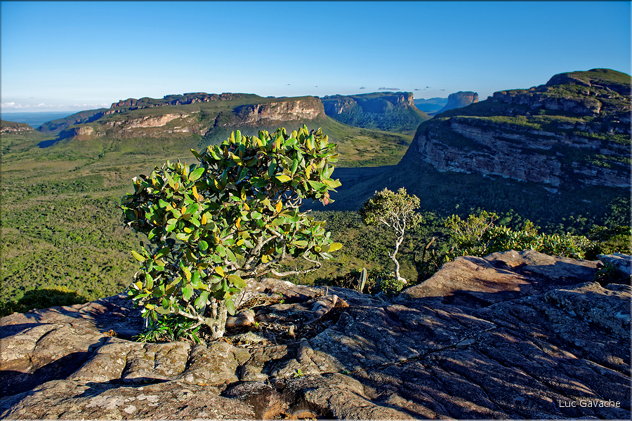 Le Pal Inàcio offre la vu la plus spéctaculaire de la Chapada. (31)