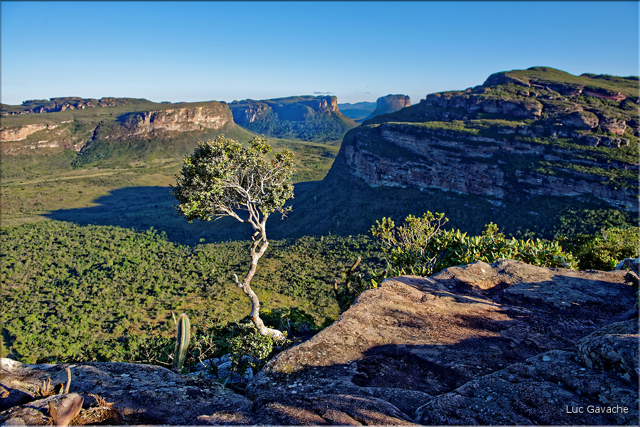 Le Pal Inàcio offre la vu la plus spéctaculaire de la Chapada. (32)