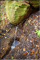 Cascade au pied du Pal Inàcio. (10)