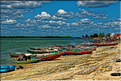 Le long de la route vers Jericoacoara dans le Nordeste. (1)