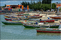 Le long de la route vers Jericoacoara dans le Nordeste. (11)