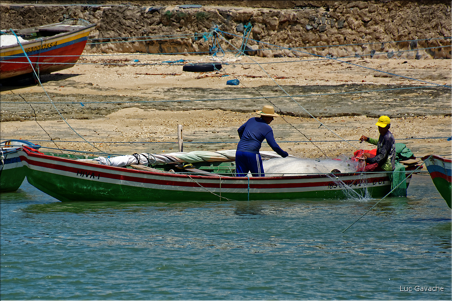 Le long de la route vers Jericoacoara dans le Nordeste. (13)