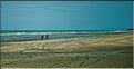 Le long de la route vers Jericoacoara dans le Nordeste. (16)
