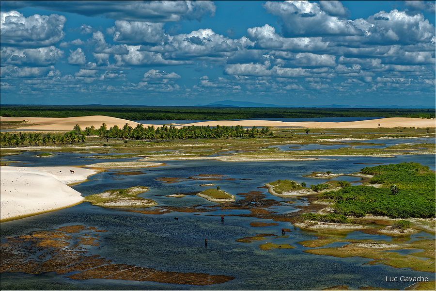 Le long de la route vers Jericoacoara dans le Nordeste. (35) Ici à Tatajuba