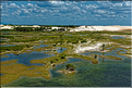 Le long de la route vers Jericoacoara dans le Nordeste. (37) Ici à Tatajuba