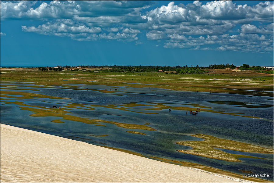 Le long de la route vers Jericoacoara dans le Nordeste. (42) Ici à Tatajuba