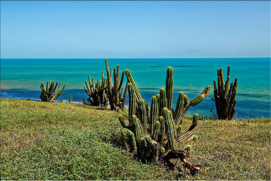 La côte sauvage à l'Est de Jericoacoara. (1)