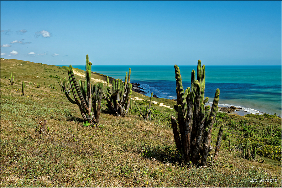 La côte sauvage à l'Est de Jericoacoara. (3)