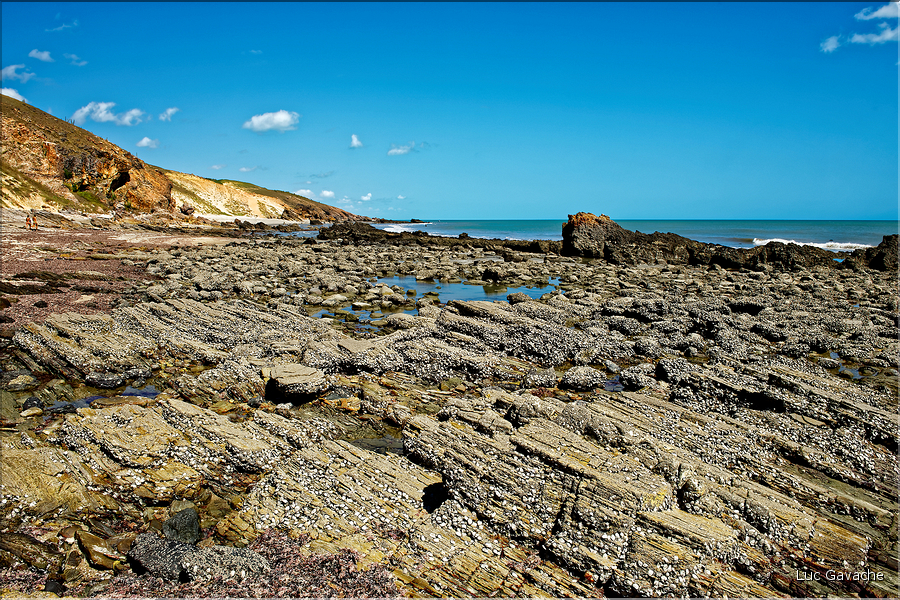 La côte sauvage à l'Est de Jericoacoara. (18)