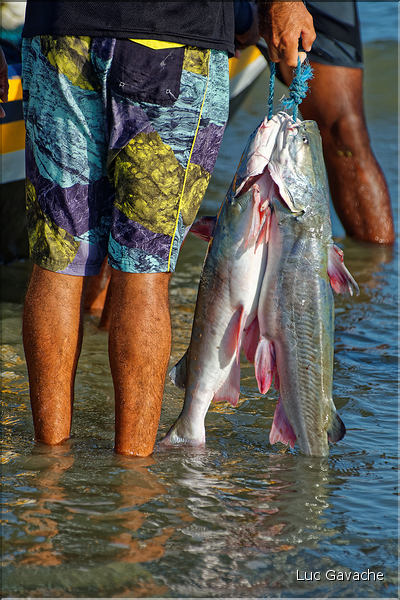 Les pêcheurs de Jericoacoara. (5)