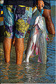 Les pêcheurs de Jericoacoara. (5)