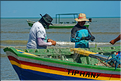 Les pêcheurs de Jericoacoara. (15)