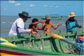 Les pêcheurs de Jericoacoara. (22)