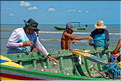 Les pêcheurs de Jericoacoara. (23)